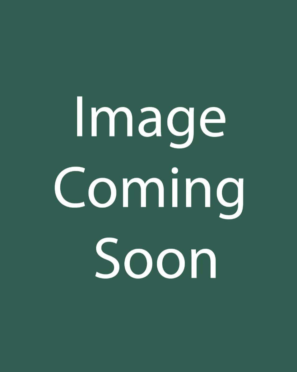 Honeymoon Rio Carnival Helleborus - Main Image