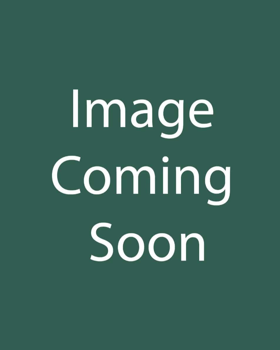 Maiden Grass Miscanthus - Main Image