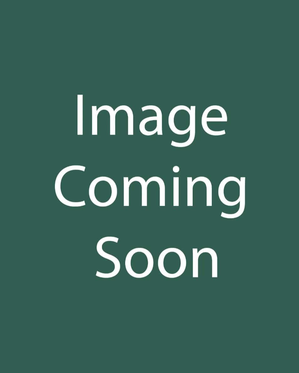 Noble Nightingale Ajuga - Main Image