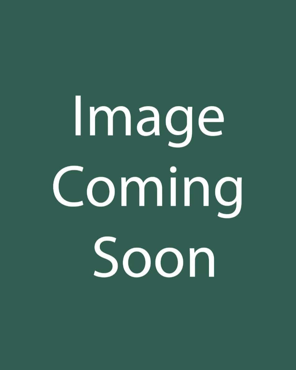 Six Hills Giant Catmint - Main Image