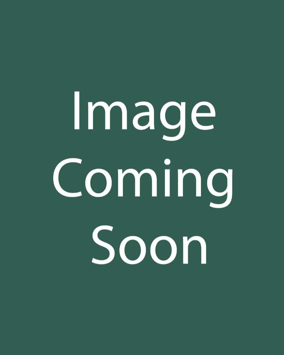 Green Mountain Boxwood Spiral - Main Image