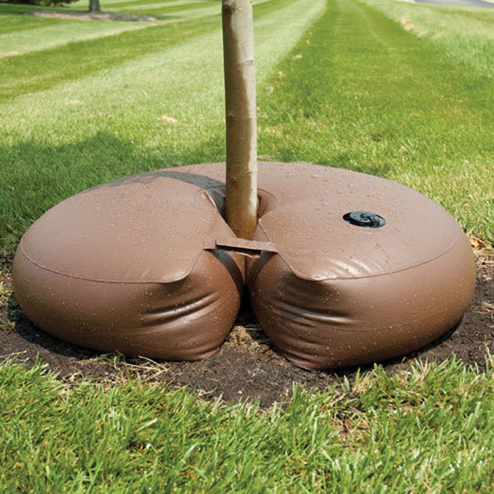 ArborRain Bags