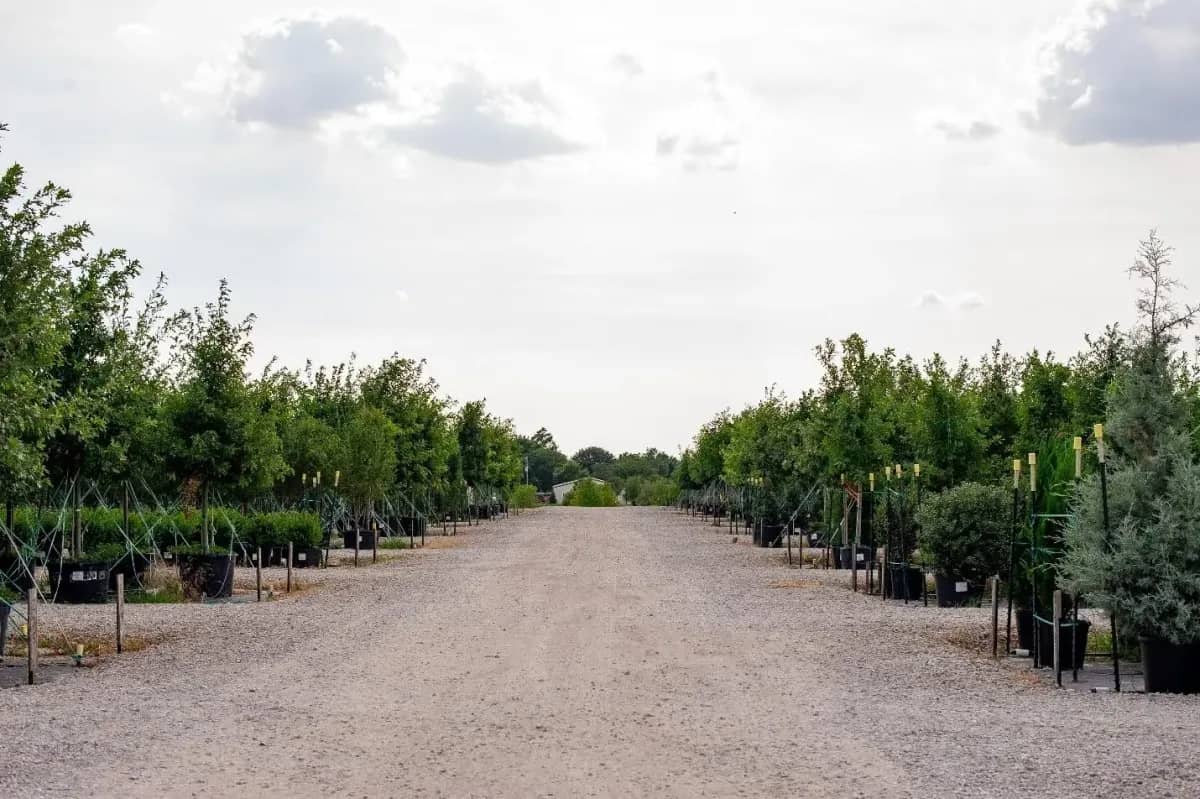 Planning Your Trip to the Farm