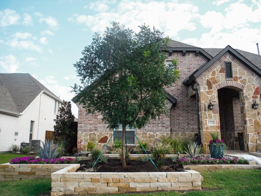 Frontyard Installations