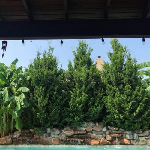 Privacy Screen