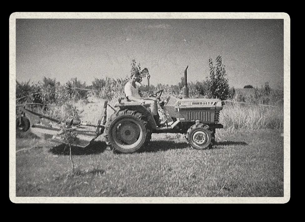 Historical photo 3