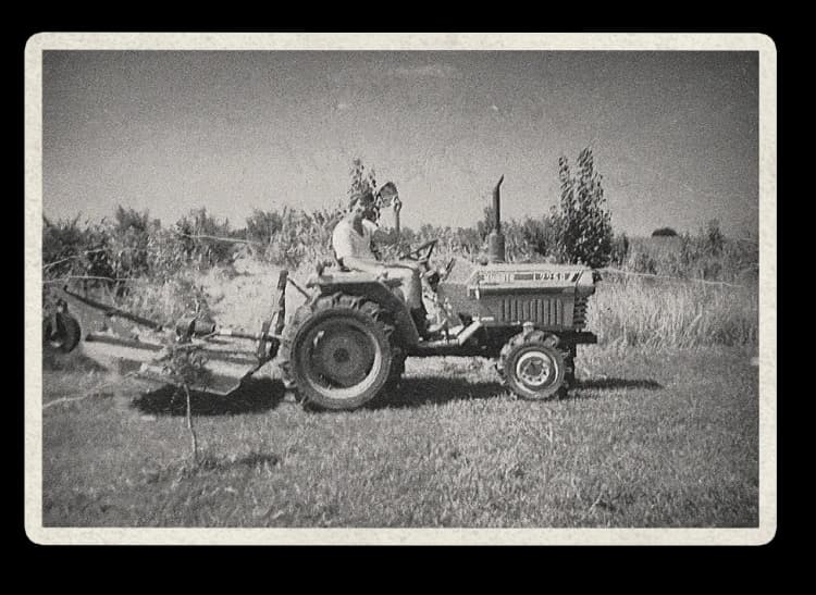 Historical photo 3