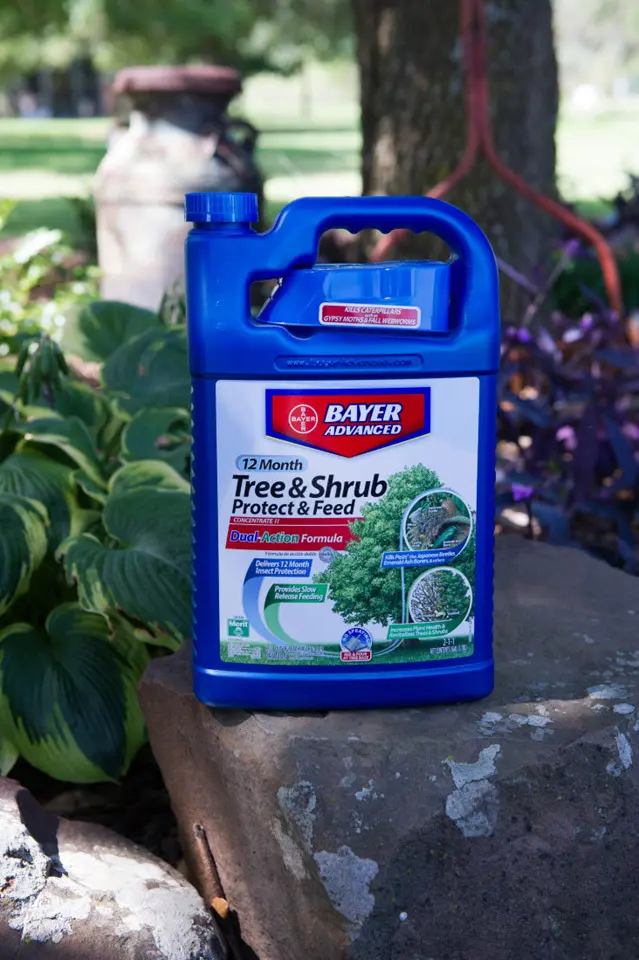 Bayer Advanced Tree & Shrub Protect and Feed