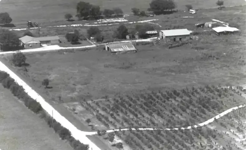 Black and White Farm