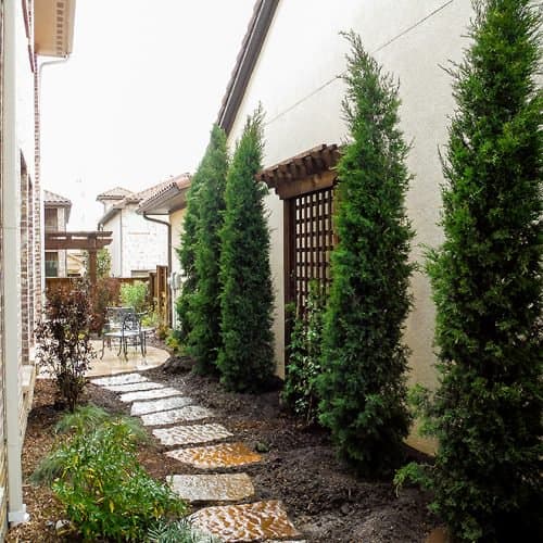 Privacy Screen