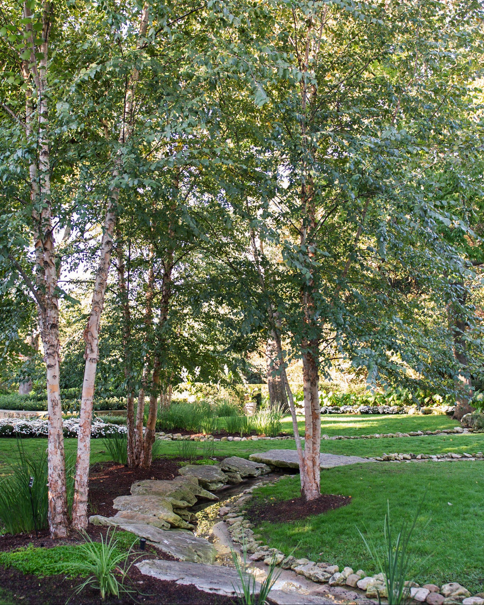 Dura Heat River Birch - view 4
