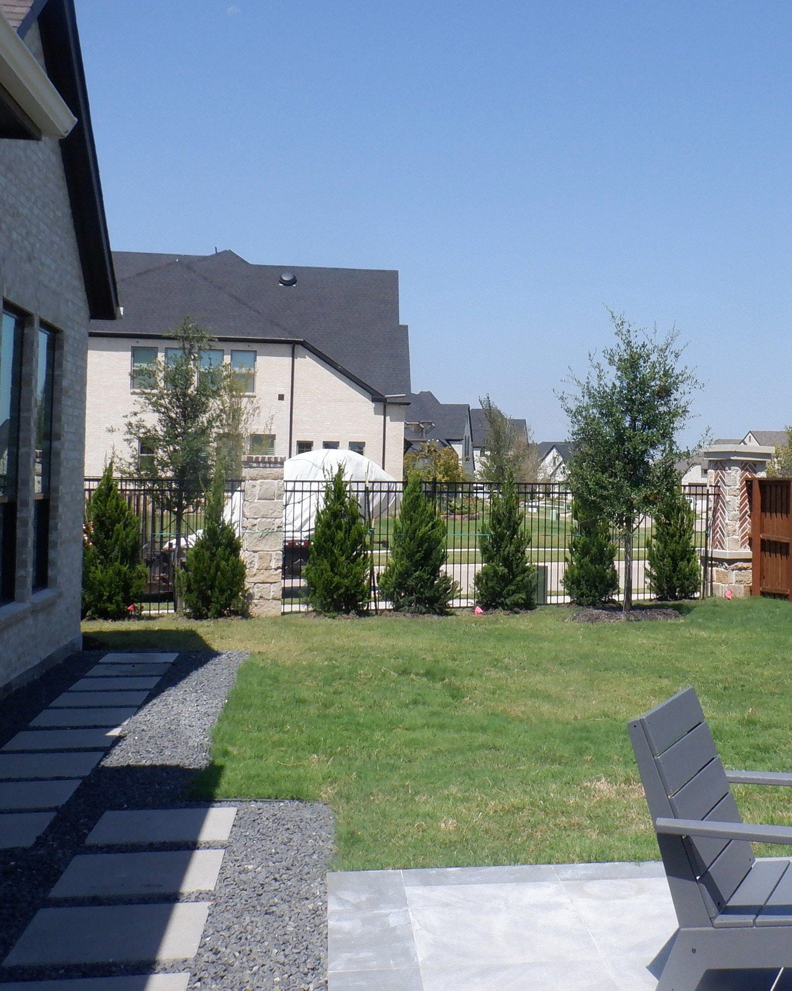 Blue Point Juniper - view 3