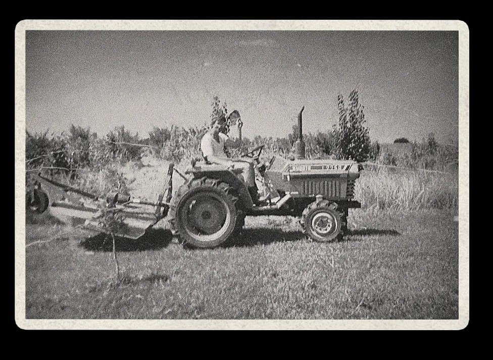 Historical photo 3