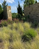 Blue Grama grasses growing among flowering plants beside a stone wall and garden columns