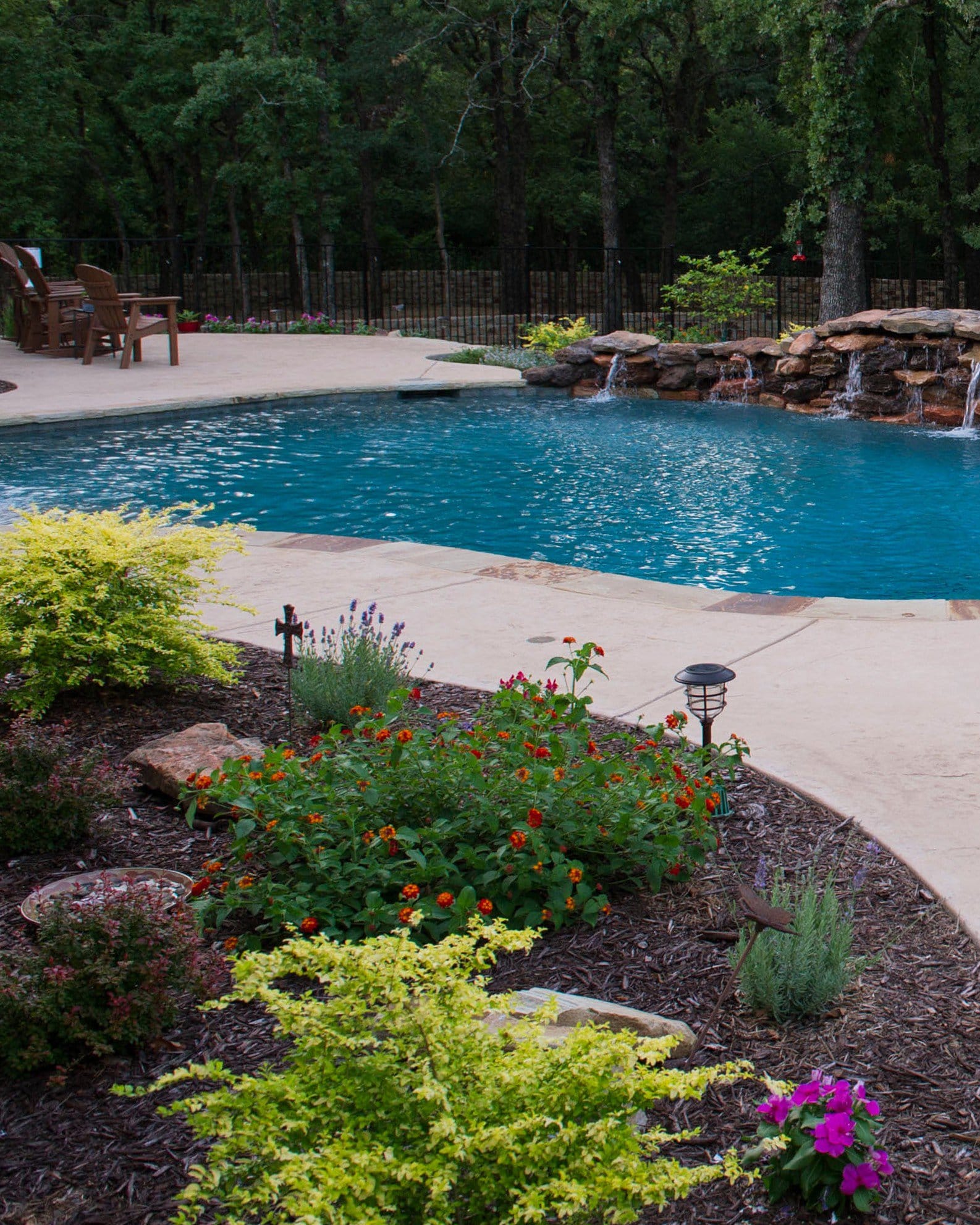Dallas Red Lantana - view 5
