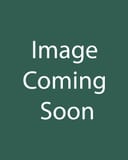 Double the Sun Coreopsis image coming soon