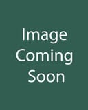 Midnight Oil Monarda image coming soon