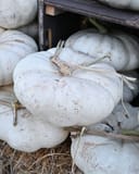 Enchanted Pumpkin pale white pumpkins stacked in a rustic wooden display