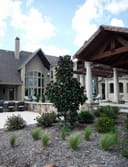 Teddy Bear Magnolia with glossy foliage planted in a landscaped courtyard beside a large home