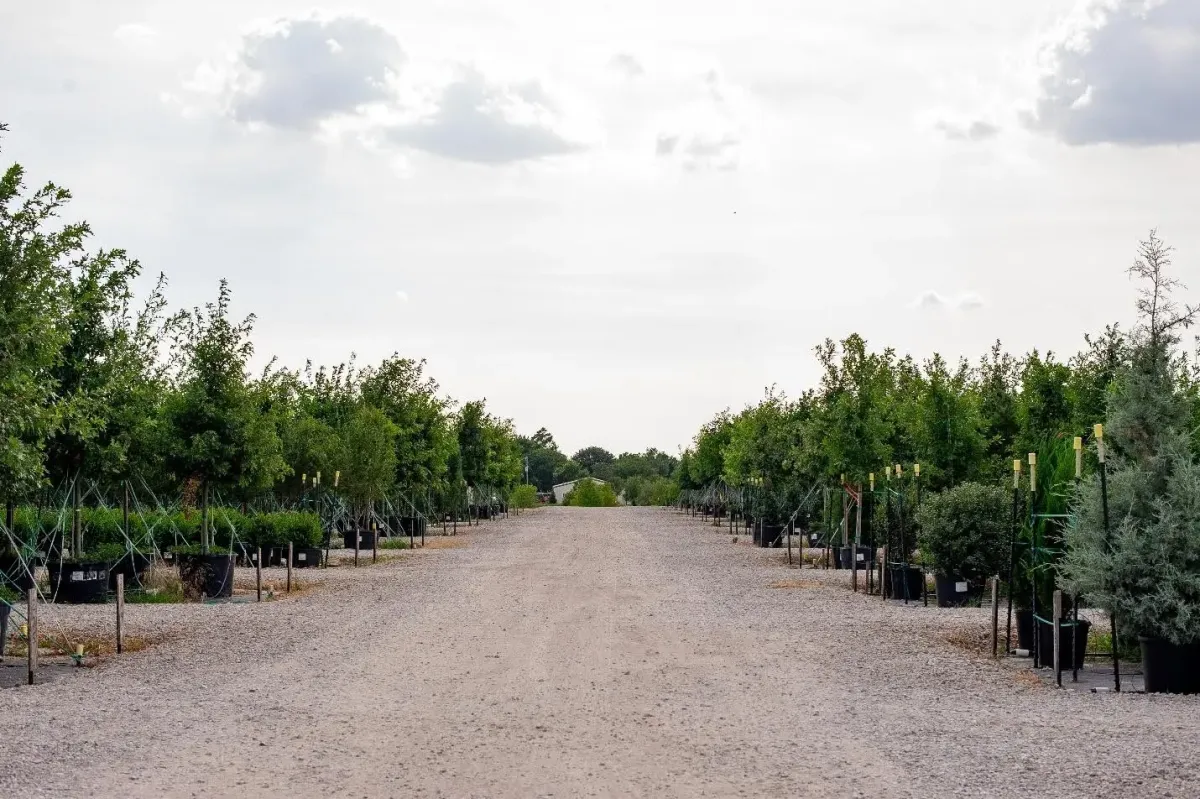 Planning Your Trip to the Farm