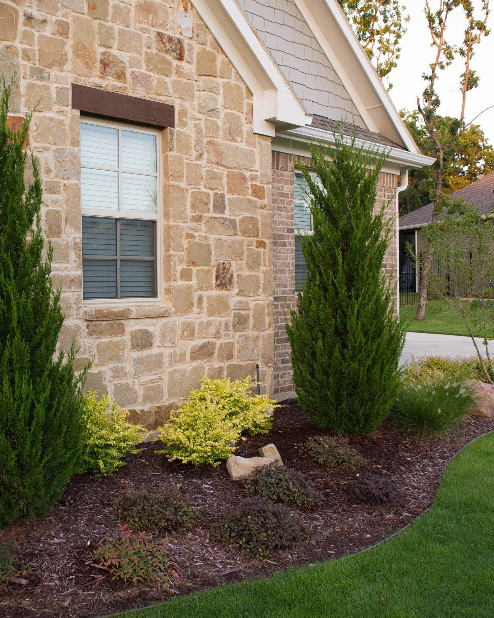 Flirt Nandina - view 3