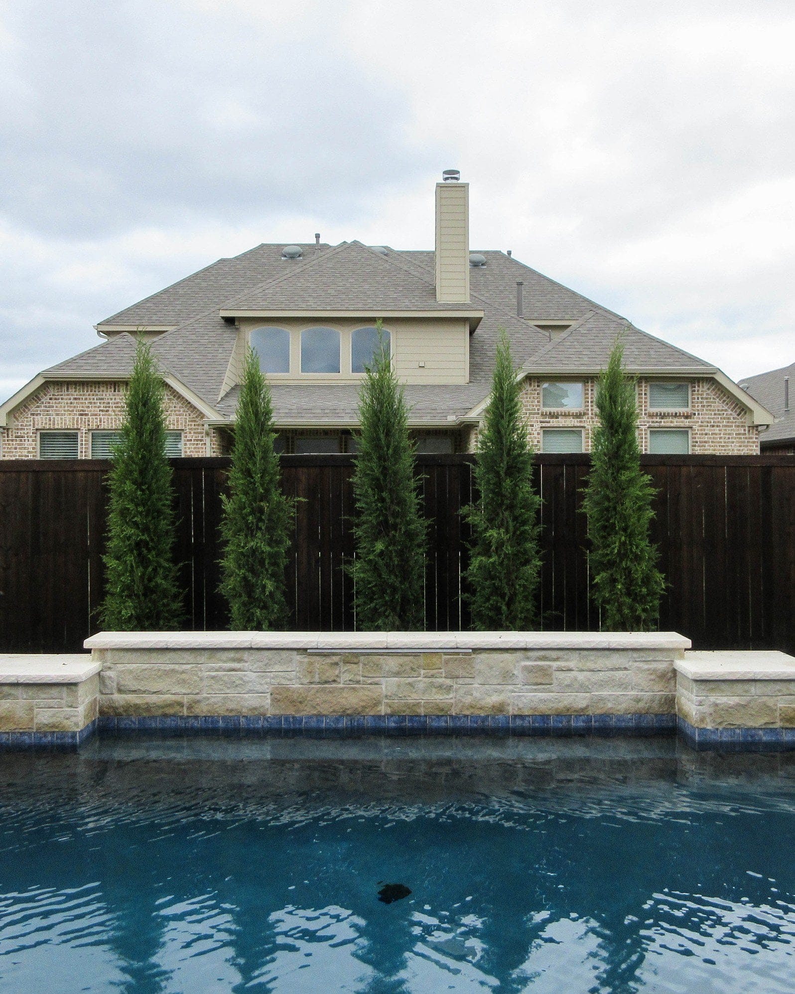 Eastern Red Cedar Taylor - view 5