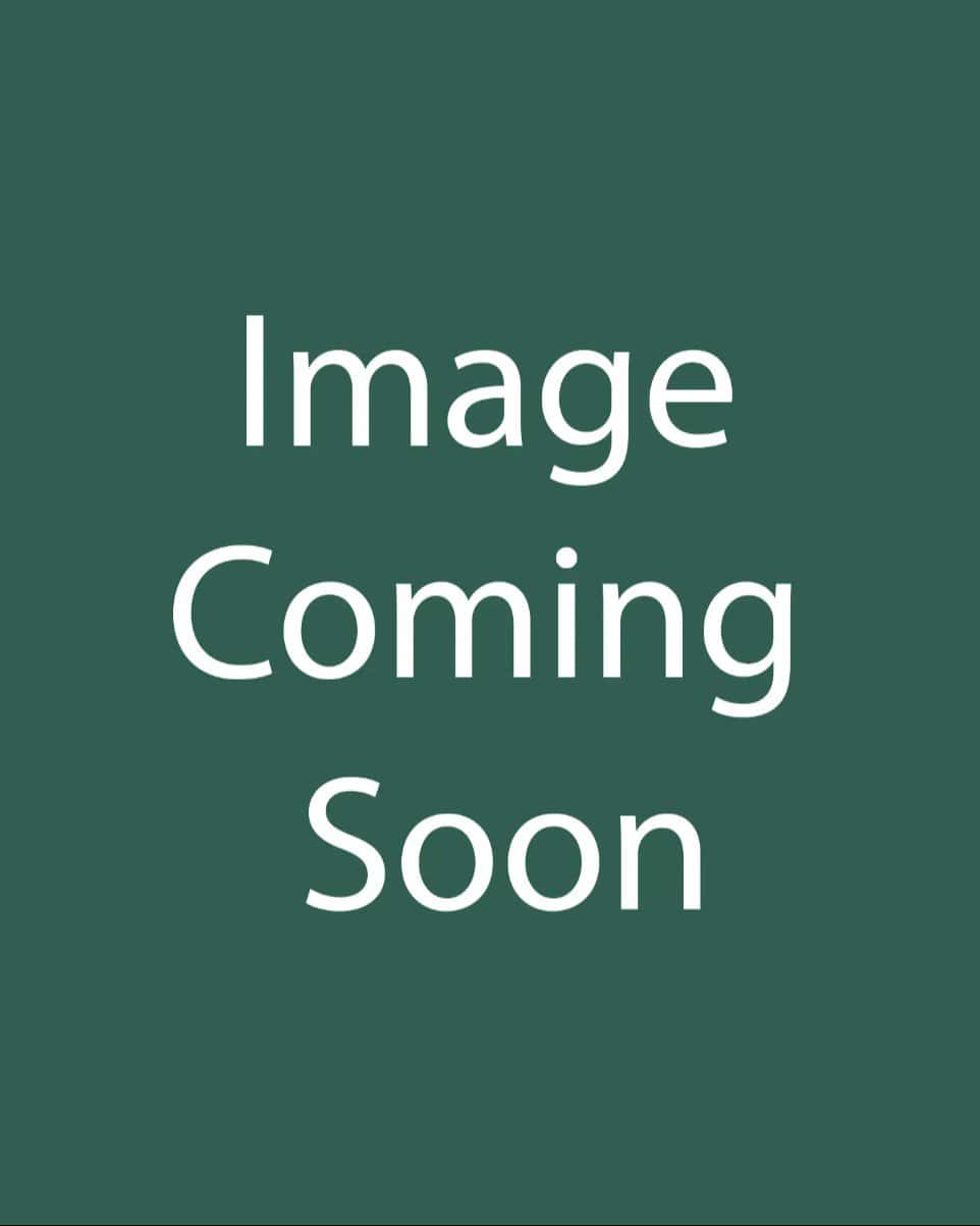 Wall Germander - Image 1
