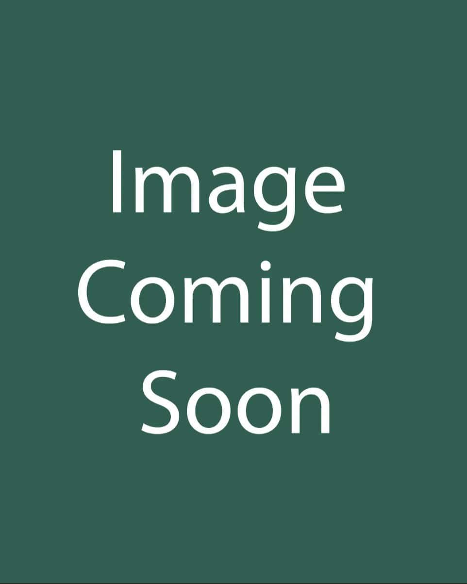 Heartleaf Skullcap - Main Image