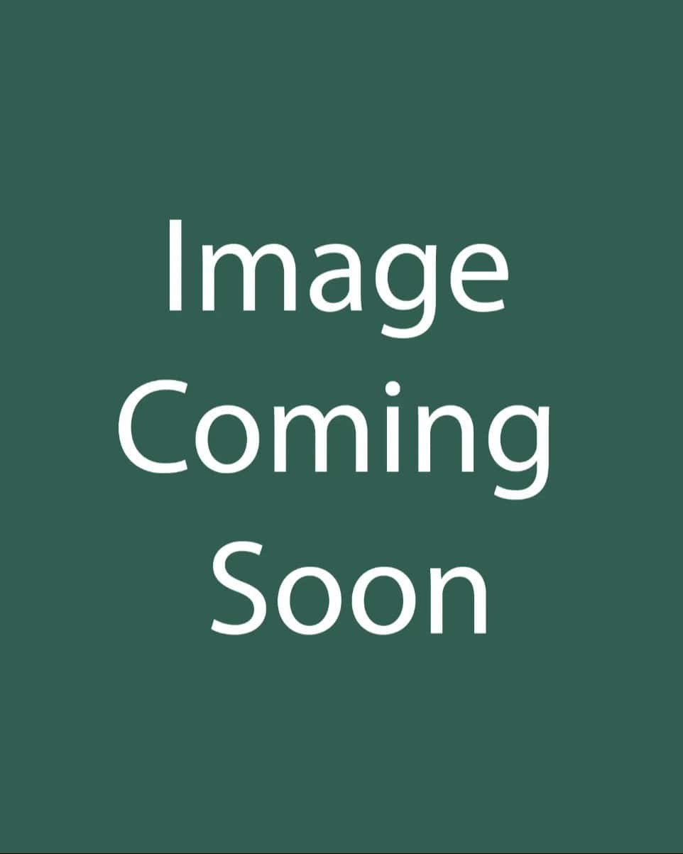 Lynn's Legacy Texas Sage - Main Image