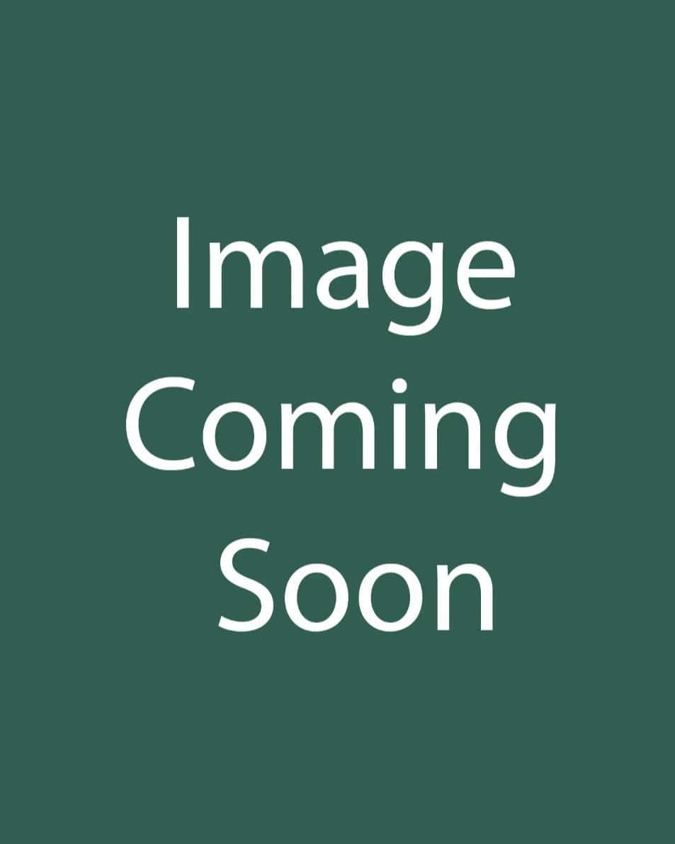 Coppertone Distylium - Main Image