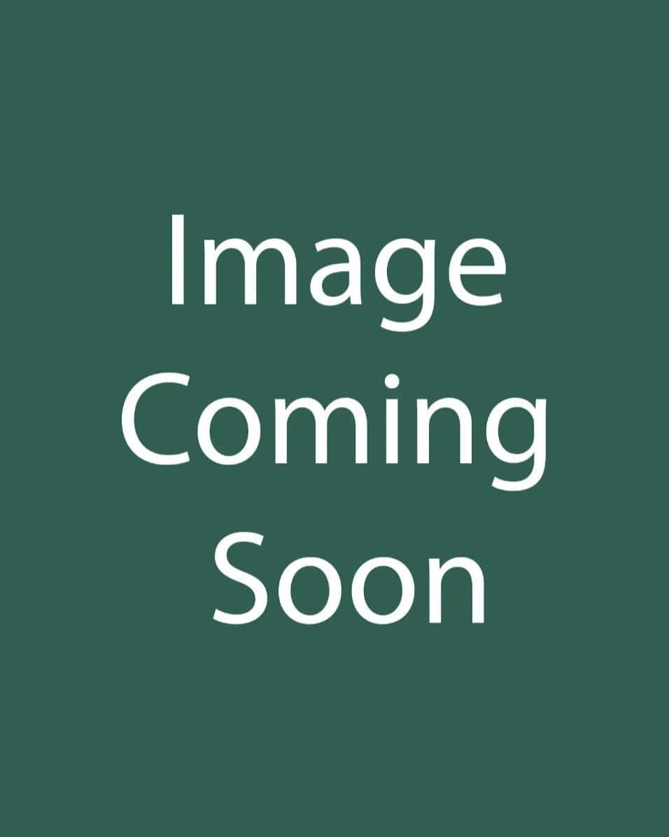 Fruitless Mulberry - Main Image