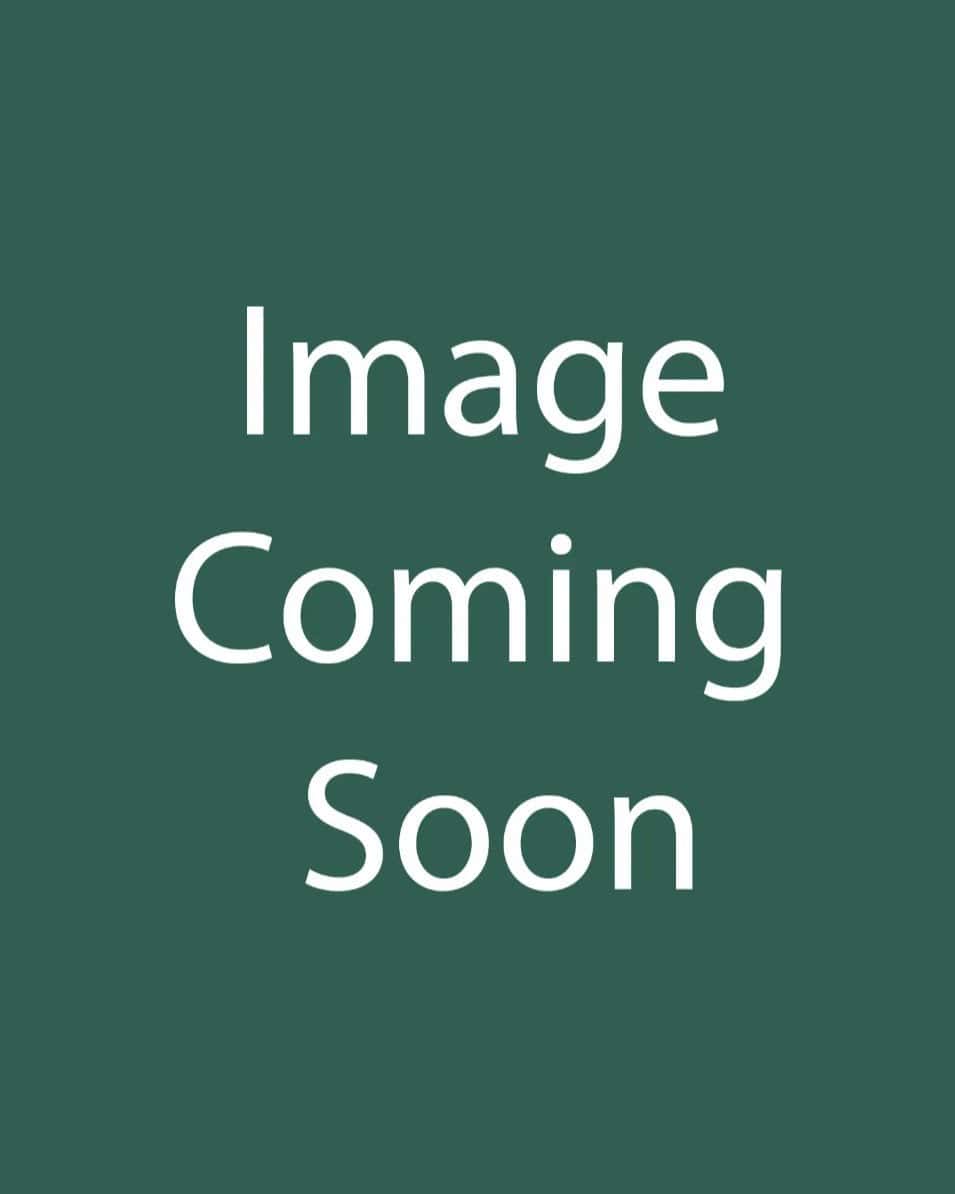 Royal Hawaiian Diamond Head Elephant Ear - Main Image