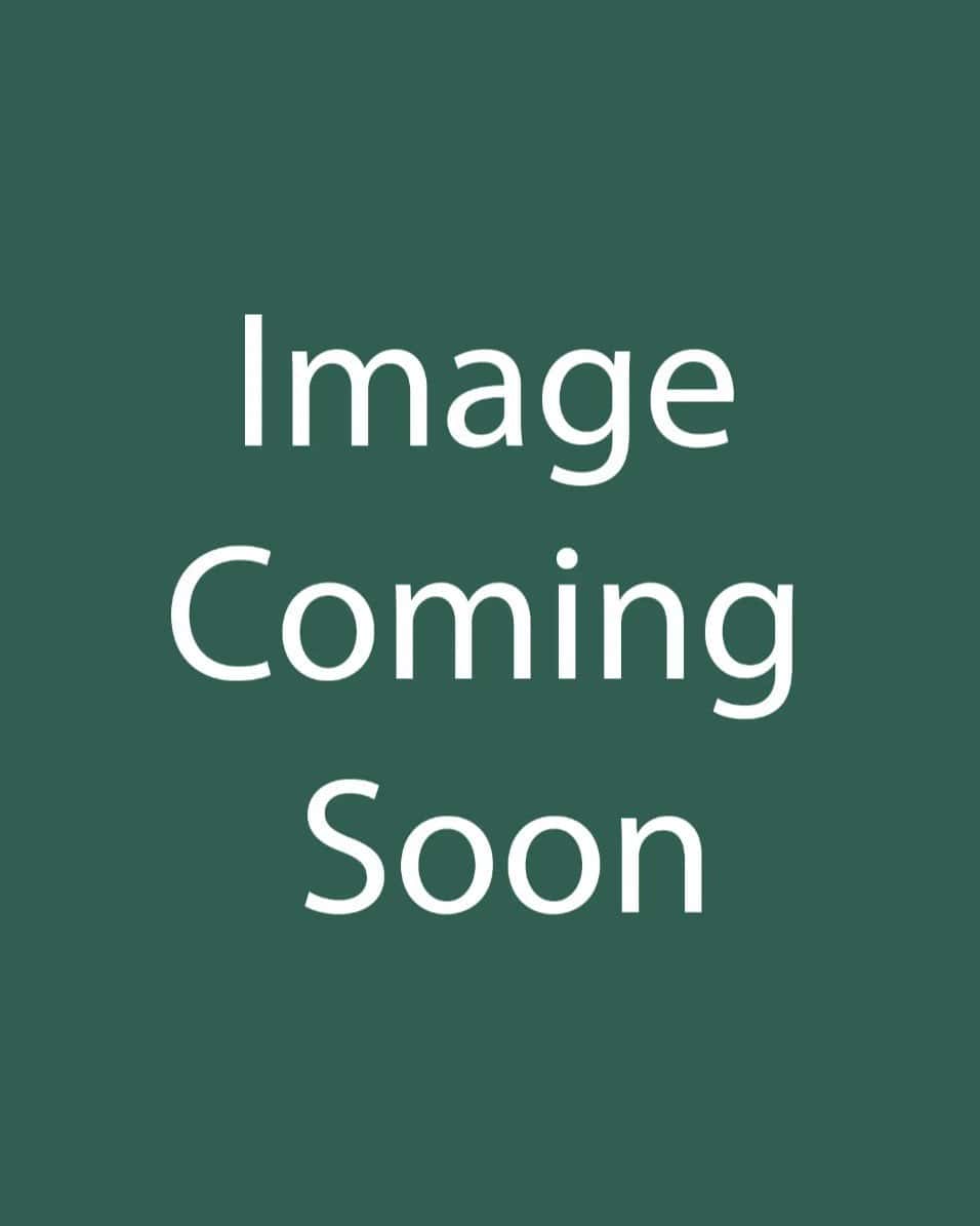 T Rex Dancing Peacock Begonia - Main Image