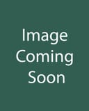 Black-eyed Susan Rudbeckia Little Suzy thumbnail 1