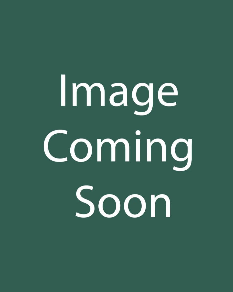 Little Business Daylily - Main Image