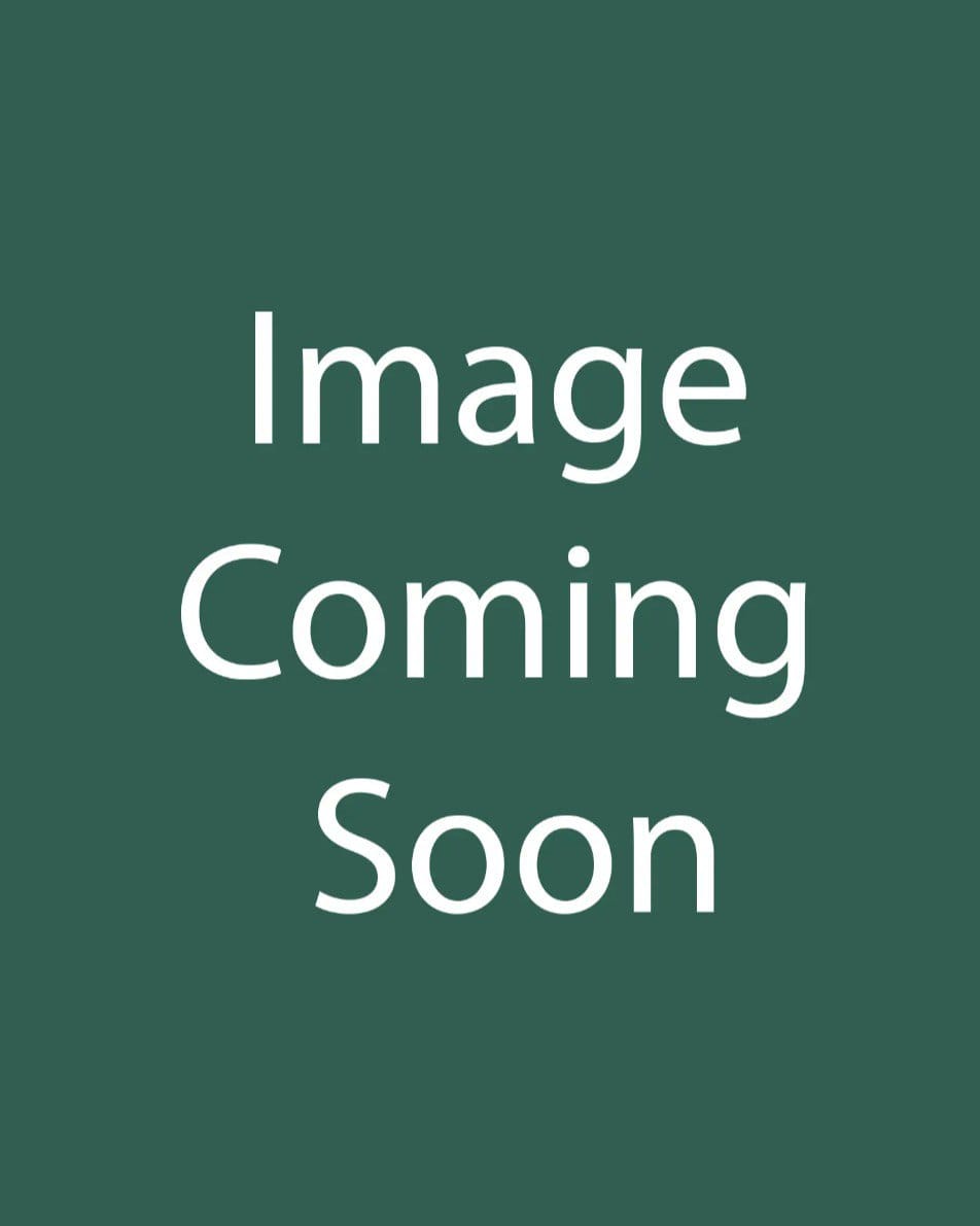 Midnight Oil Monarda - Main Image
