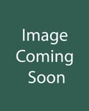 Black-eyed Susan Rudbeckia Little Suzy image coming soon
