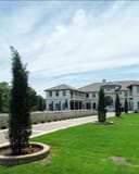 Eastern Red Cedar Taylor standing in a circular bed beside a manicured lawn and large stone residence