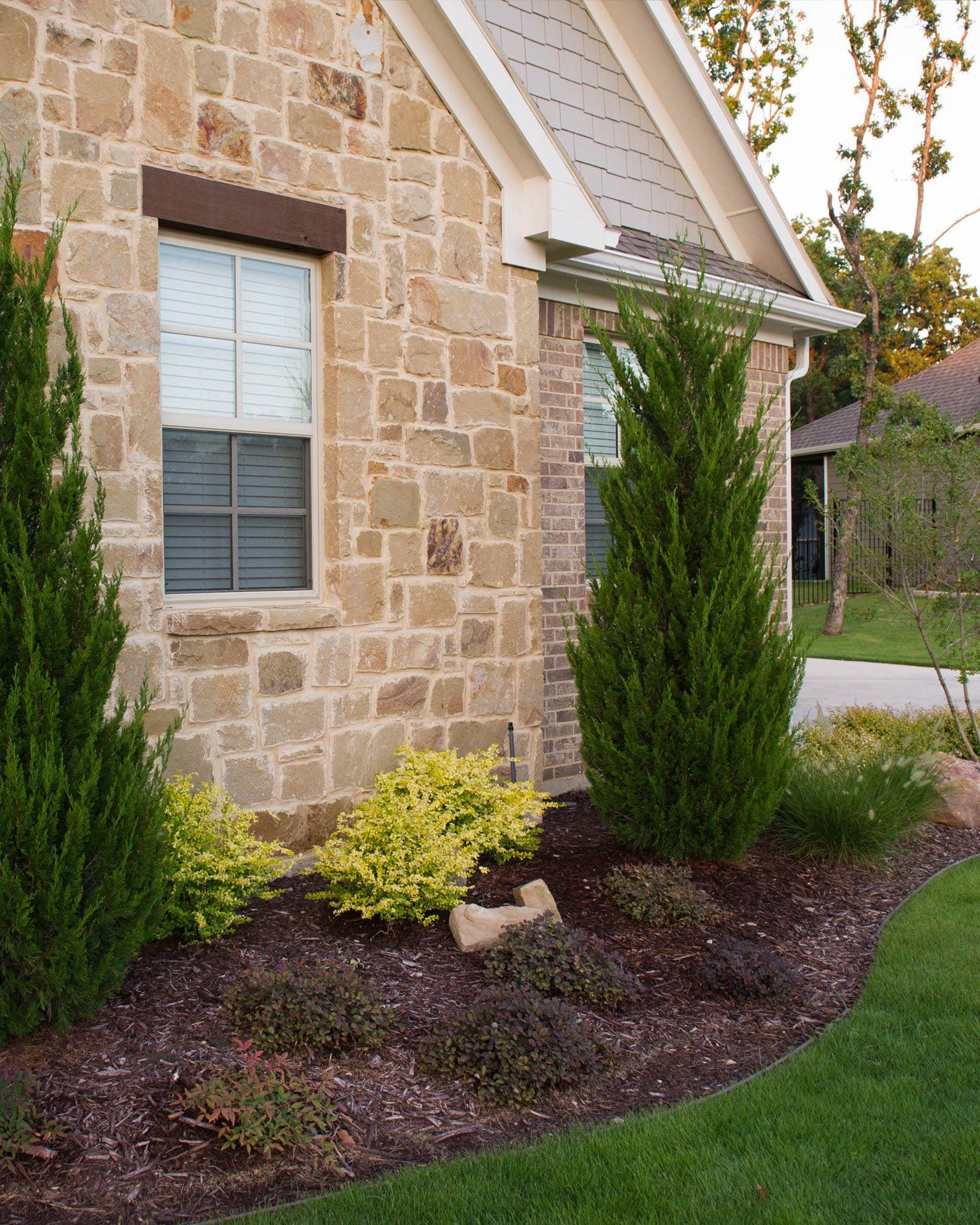 Flirt Nandina - view 3