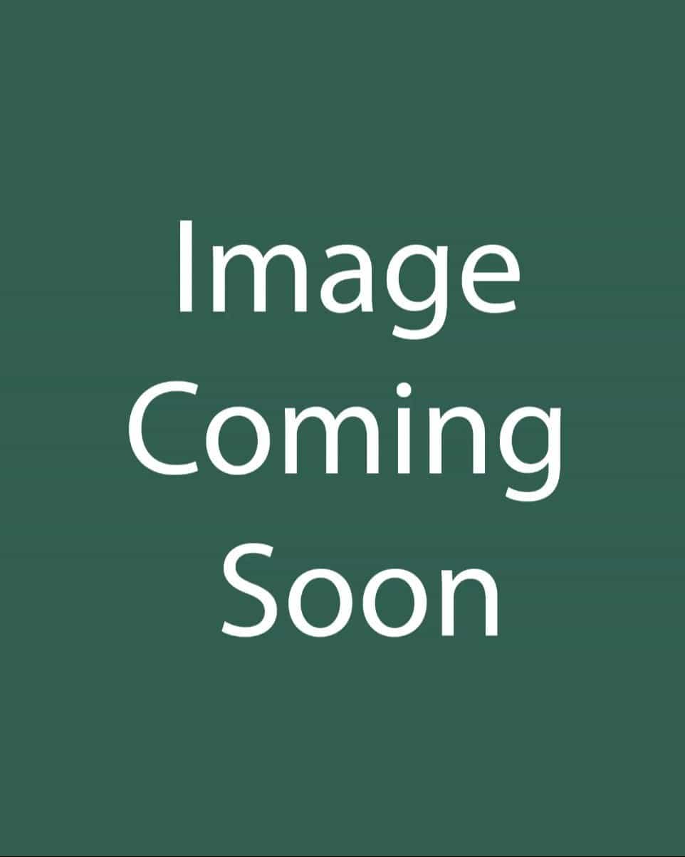 Pink Splash Caladium - Main Image