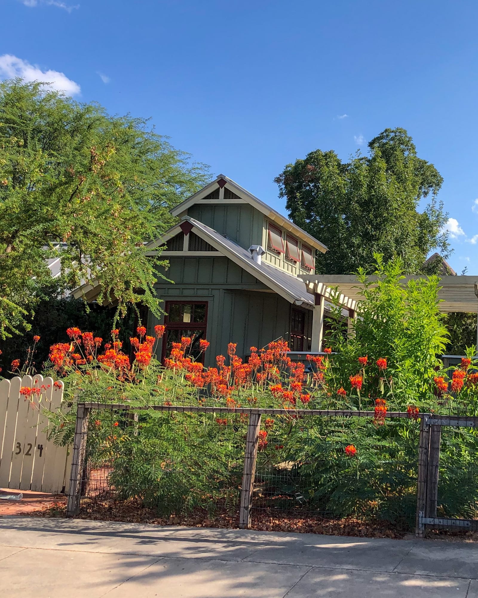 Pride of Barbados - view 2