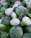 Gourds thumbnail 1