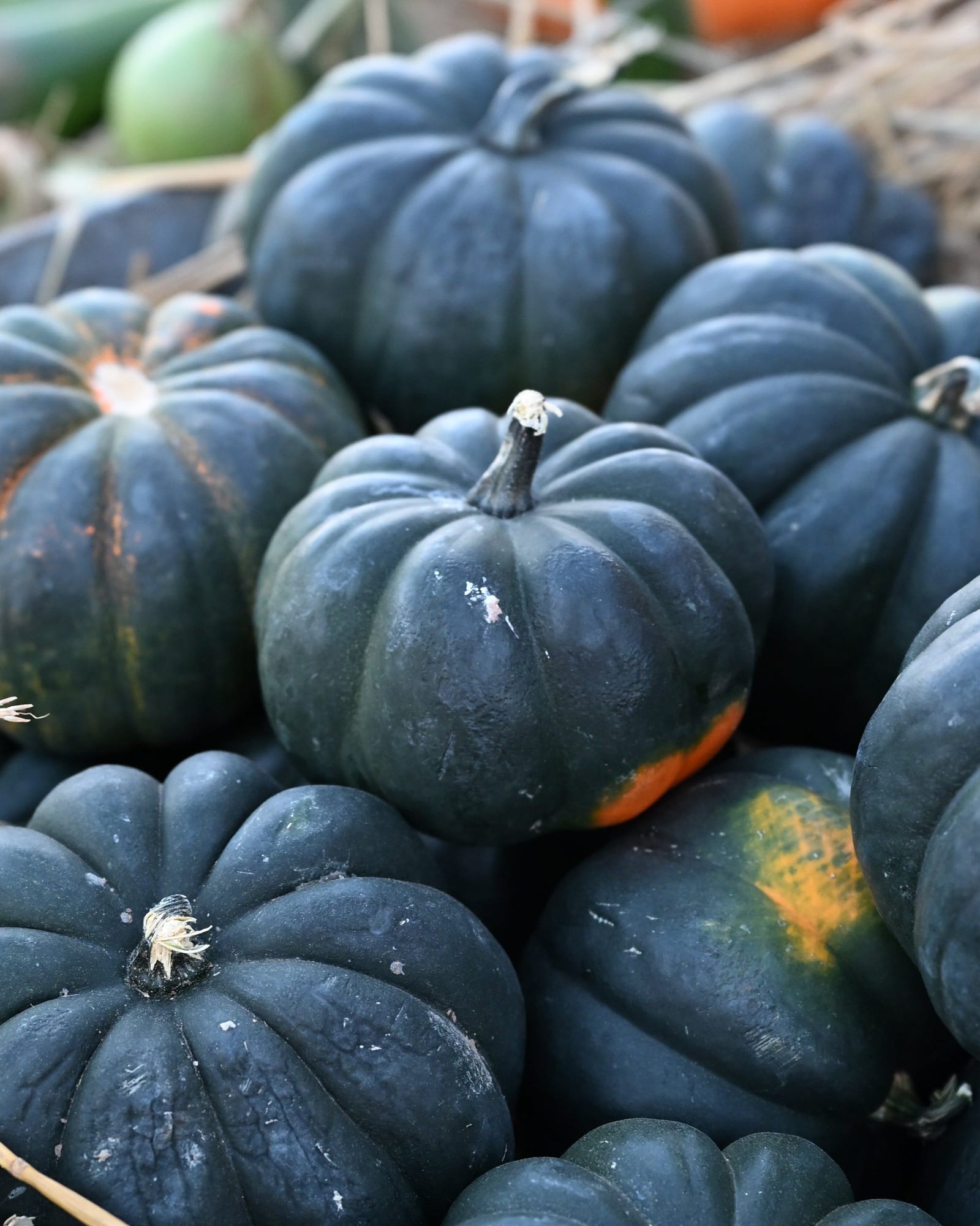 Mini Midnight Pumpkin