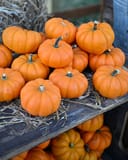 Mini Orange Pumpkin thumbnail 2