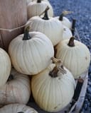 White Pies Pumpkin thumbnail 1