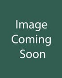 Pink Splash Caladium image coming soon placeholder