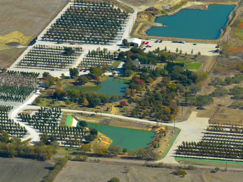 Treeland Nurseries Thenurseries Treeland Nursery Chandler Az Thenur Mesa Best Idea Garden