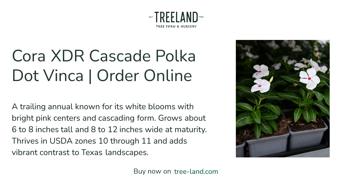 Cora XDR Cascade Polka Dot Vinca | Order Online | Treeland Nursery