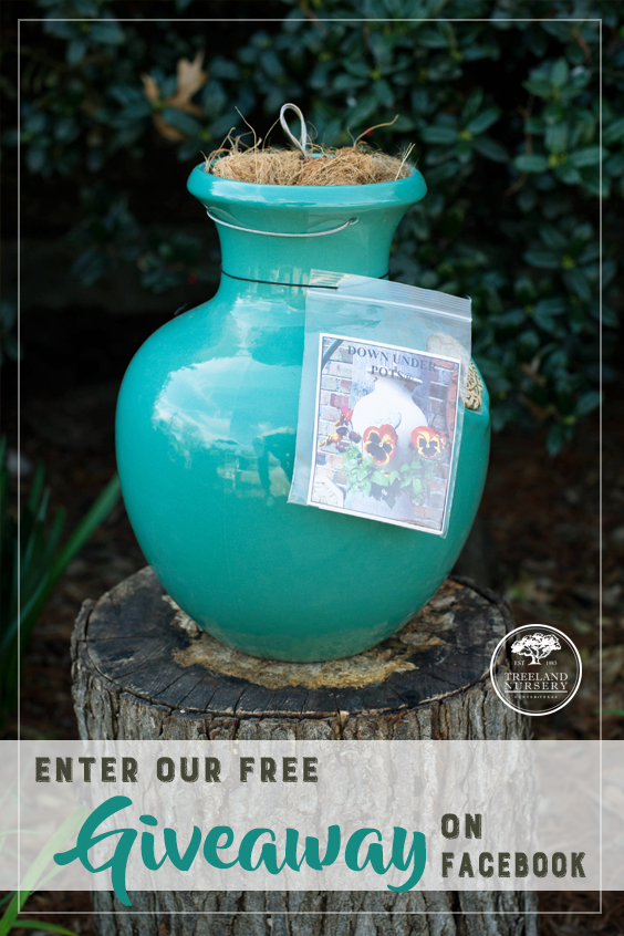 Enter to win a free Down Under Pot