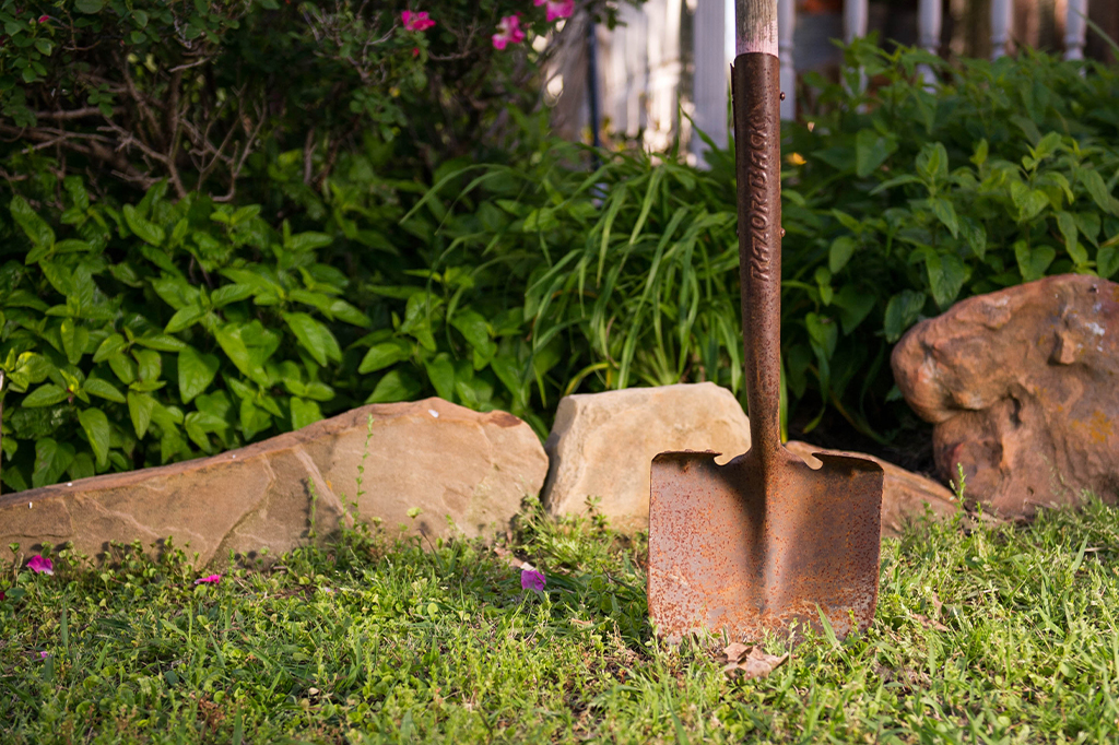 What to Expect when planting a tree near sprinklers or utilties